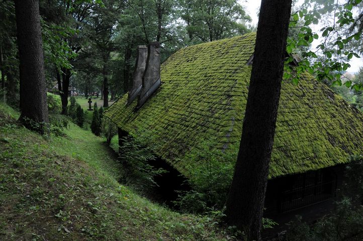 NIK_2229