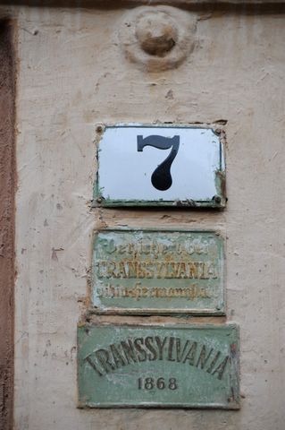 NIK_2383
